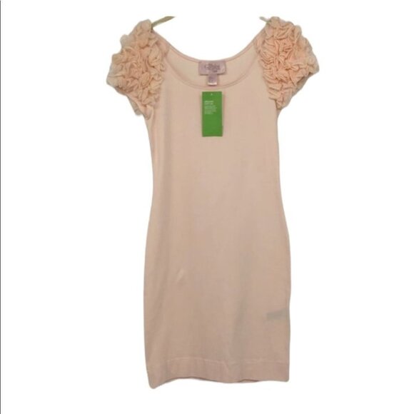 H&M NWT paste pink The Garden Collection bodycon mini dress puffy floral sleeves - Picture 2 of 15